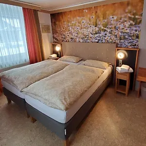 https://b-b-gastehaus-schmidt.com-bavaria.com